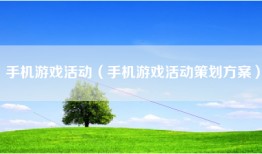 手机游戏活动（手机游戏活动策划方案）