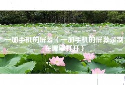一加手机的屏幕（一加手机的屏幕录制在哪里打开）
