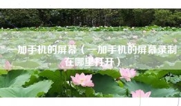 一加手机的屏幕（一加手机的屏幕录制在哪里打开）