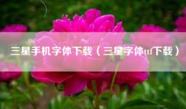 三星手机字体下载（三星字体ttf下载）