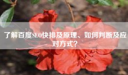 了解百度SEO快排及原理、如何判断及应对方式？