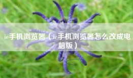 ie手机浏览器（ie手机浏览器怎么改成电脑版）
