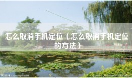 怎么取消手机定位（怎么取消手机定位的方法）