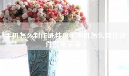 手机怎么制作证件照（手机怎么制作证件照电子版）