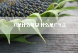 IT是什么意思 什么是IT行业