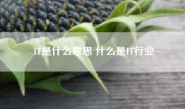 IT是什么意思 什么是IT行业