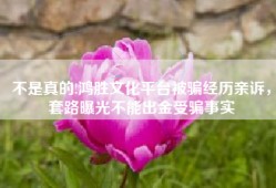 不是真的!鸿胜文化平台被骗经历亲诉，套路曝光不能出金受骗事实