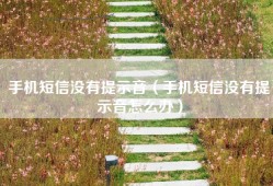 手机短信没有提示音（手机短信没有提示音怎么办）
