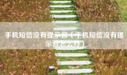 手机短信没有提示音（手机短信没有提示音怎么办）