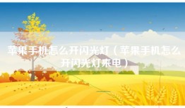 苹果手机怎么开闪光灯（苹果手机怎么开闪光灯来电）