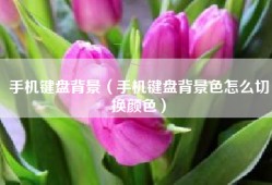 手机键盘背景（手机键盘背景色怎么切换颜色）