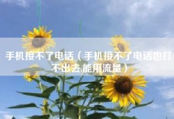 手机接不了电话（手机接不了电话也打不出去,能用流量）