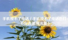 手机接不了电话（手机接不了电话也打不出去,能用流量）