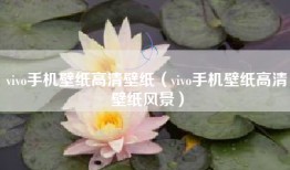 vivo手机壁纸高清壁纸（vivo手机壁纸高清壁纸风景）