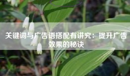 关键词与广告语搭配有讲究：提升广告效果的秘诀