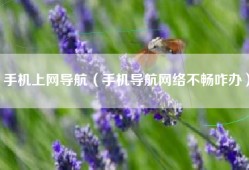 手机上网导航（手机导航网络不畅咋办）