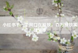 小红书下一个风口在投放，百万投放实战分享