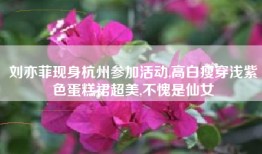 刘亦菲现身杭州参加活动,高白瘦穿浅紫色蛋糕裙超美,不愧是仙女