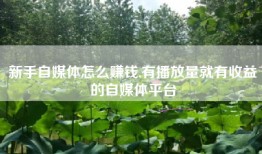 新手自媒体怎么赚钱,有播放量就有收益的自媒体平台