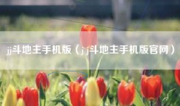 jj斗地主手机版（j j斗地主手机版官网）