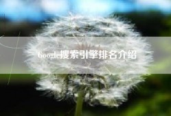Google搜索引擎排名介绍