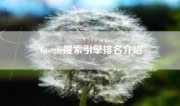 Google搜索引擎排名介绍