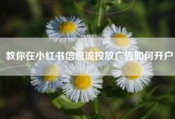 教你在小红书信息流投放广告如何开户