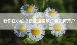 教你在小红书信息流投放广告如何开户