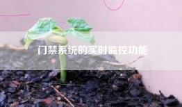 门禁系统的实时监控功能