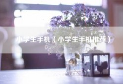 小学生手机（小学生手机推荐）
