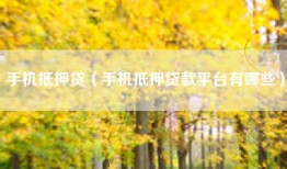手机抵押贷（手机抵押贷款平台有哪些）