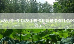 u友手机卡（u友手机卡和普通卡有什么区别）