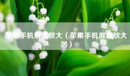 苹果手机屏幕放大（苹果手机屏幕放大器）