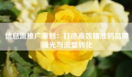 信息流推广策划：打造高效精准的品牌曝光与流量转化