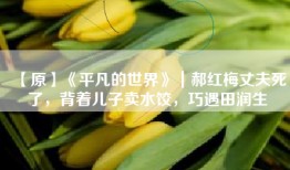 【原】《平凡的世界》｜郝红梅丈夫死了，背着儿子卖水饺，巧遇田润生