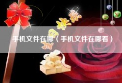 手机文件在哪（手机文件在哪看）