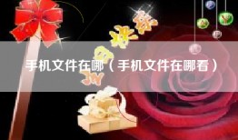 手机文件在哪（手机文件在哪看）