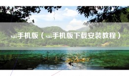 sai手机版（sai手机版下载安装教程）