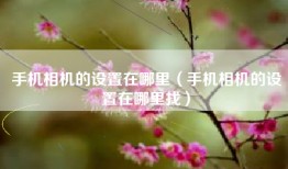 手机相机的设置在哪里（手机相机的设置在哪里找）
