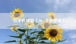云手机壁纸（2025手机壁纸）
