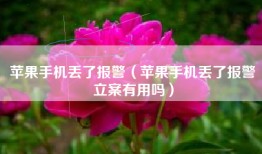 苹果手机丢了报警（苹果手机丢了报警立案有用吗）