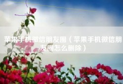 苹果手机微信朋友圈（苹果手机微信朋友圈怎么删除）
