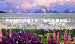 如何刷机安卓手机（怎样刷机安卓）