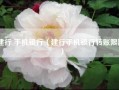 建行 手机银行（建行手机银行转账限额）
