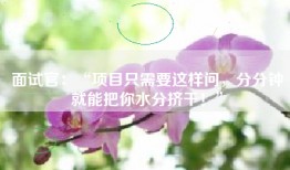 面试官：“项目只需要这样问，分分钟就能把你水分挤干！”