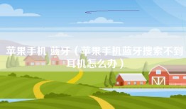 苹果手机 蓝牙（苹果手机蓝牙搜索不到耳机怎么办）