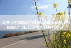 苹果手机跟踪定位怎么设置（苹果手机跟踪定位怎么设置不被对方发现）