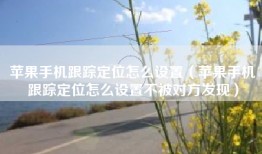 苹果手机跟踪定位怎么设置（苹果手机跟踪定位怎么设置不被对方发现）