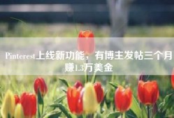 Pinterest上线新功能，有博主发帖三个月赚1.3万美金