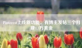 Pinterest上线新功能，有博主发帖三个月赚1.3万美金